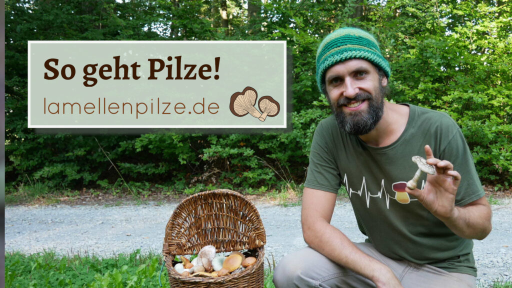 So geht Pilze! lamellenpilze.de - Pilze bestimmen mit Raphael Gorschlüter